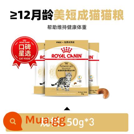 [Thành viên mới dùng thử] Thức ăn chủ yếu dành cho mèo con và mèo trưởng thành Royal để dùng thử, mỗi ID được giới hạn cho một lần mua - [Khô] Thức ăn cho mèo trưởng thành American Shorthair 50g*3