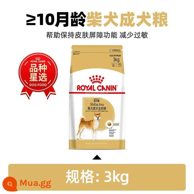 Thức Ăn Cho Chó Royal Shiba Inu Thức Ăn Đặc Biệt Cho Chó Nhỏ Chó Trưởng Thành Con Chó Con Giá Đầy Đủ Thức Ăn Cho Chó SIJ29 SIA26 - Thức ăn cho chó Shiba Inu trưởng thành SIA26/3kg (>10 tháng)