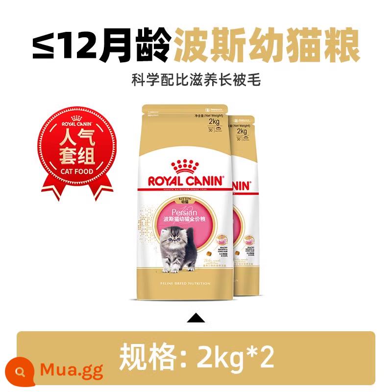 Royal Canin Royal Cat Food Thức ăn cho mèo Ba Tư Chinchilla Exotic Shorthair P30/2KG Cat Staple Food - Thức ăn đặc biệt 2kg*2/KP32 dành cho mèo Ba Tư (4-12 tháng tuổi)