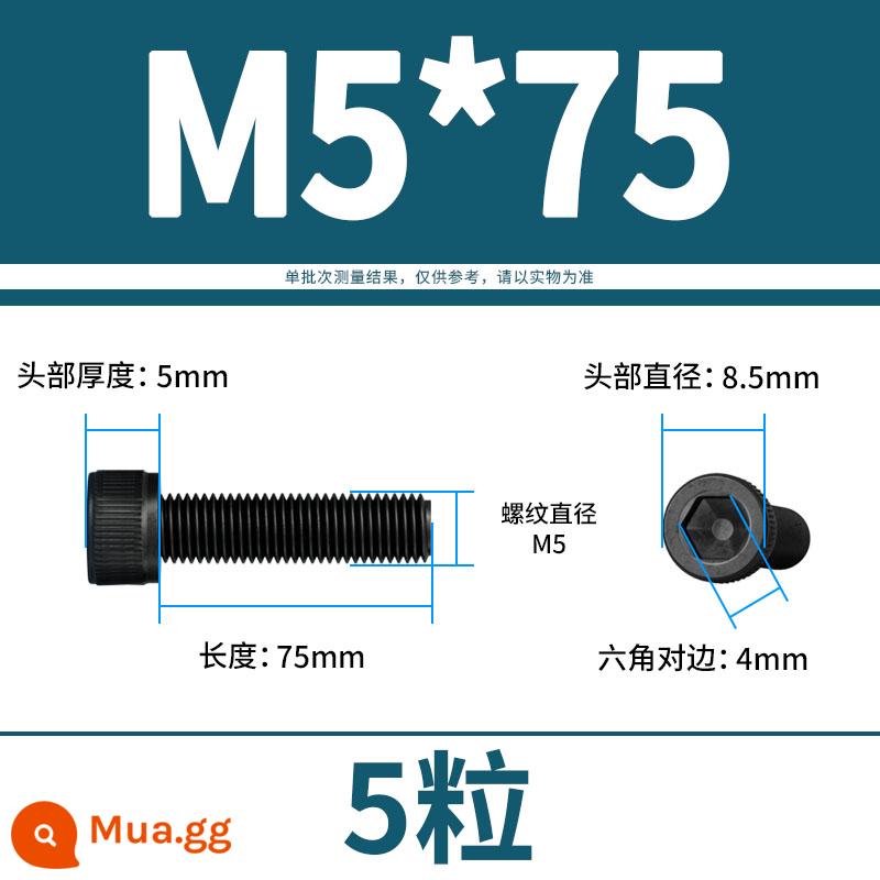 Vít lục giác bên trong bu lông cường độ cao 12.9 đầu cốc hình trụ đầu vít đầy đủ răng M3M4M5M6M8M10M12 - M5*75(5 viên