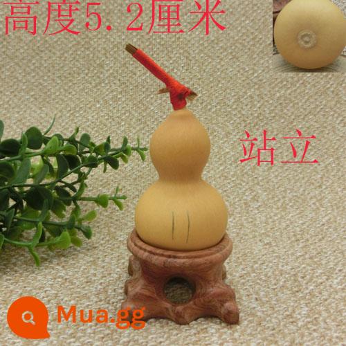 5-7 cm Home Trang trí Tay xoắn của bầu nhỏ để chơi văn bản và chơi rồng đầu màu xanh lá cây tự nhiên - 11