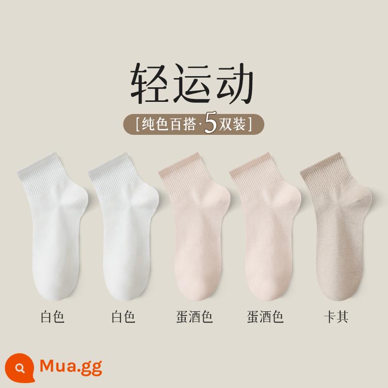 Tất nữ mùa thu đông tất không xương đến giữa bắp chân cotton nguyên chất khử mùi thoáng khí tất cotton nữ mùa đông tất cotton ống ngắn màu đen - 5 đôi [trắng+trắng+màu trứng+màu trứng+kaki]