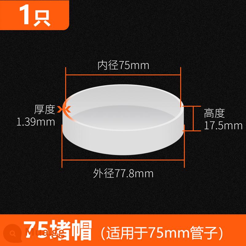 Nắp ống thoát nước PVC 50 phụ kiện bịt kín cắm 75 nắp đai ốc chặn cắm xuống ống ống nắp chặn 160 nắp chặn 110 - Nắp ống 75 (1 gói)