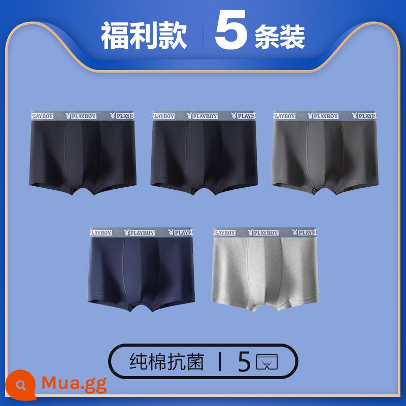 Quần lót Playboy bé trai cotton nguyên chất 100% cotton quần boxer nam quần boxer nam quần an toàn mùa thu đông - 5 gói [Đai xanh★Kháng khuẩn và chống ve bét] Đen 2★Đậm★Nhạt★Xanh hải quân