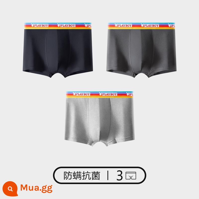 Quần lót Playboy bé trai cotton nguyên chất 100% cotton quần boxer nam quần boxer nam quần an toàn mùa thu đông - Bộ 3 [Dây Đai Màu] [Kháng khuẩn và diệt ve] Đen + Xám Đậm + Xám Nhạt