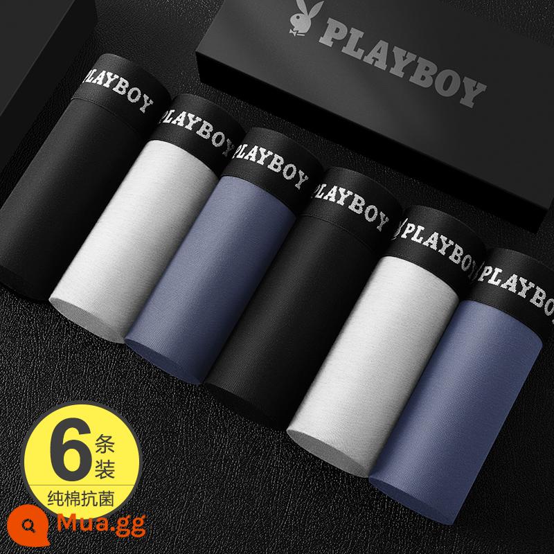 Playboy Quần Lót Nam Nam Cotton Nguyên Chất Kháng Khuẩn 100% Cotton Thu Đông Bé Trai Boxer Vuông Quần Short Đầu Mùa Đông - [Mua 1 tặng 1] Đen ★ 2 Xám nhạt ★ 2 Xám xanh ★ 2 [Khôi phục ngày mai với giá 119 nhân dân tệ]