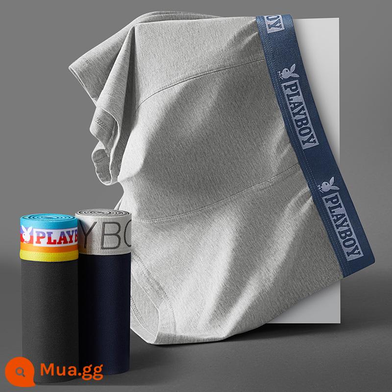 Quần lót Playboy bé trai cotton nguyên chất 100% cotton quần boxer nam quần boxer nam quần an toàn mùa thu đông - 3 gói - hình chính [đai phối màu] [kháng khuẩn và chống mạt] xanh nước biển + xám đậm + xám