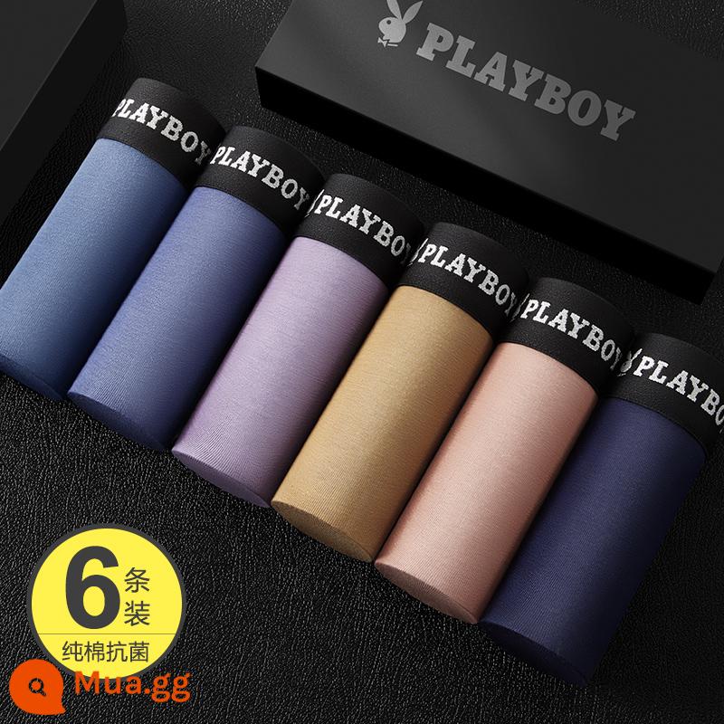 Playboy Quần Lót Nam Nam Cotton Nguyên Chất Kháng Khuẩn 100% Cotton Thu Đông Bé Trai Boxer Vuông Quần Short Đầu Mùa Đông - [Mua 1 tặng 1] Phối màu 6 B hỗn hợp [119 Nhân dân tệ sẽ được khôi phục vào ngày mai]