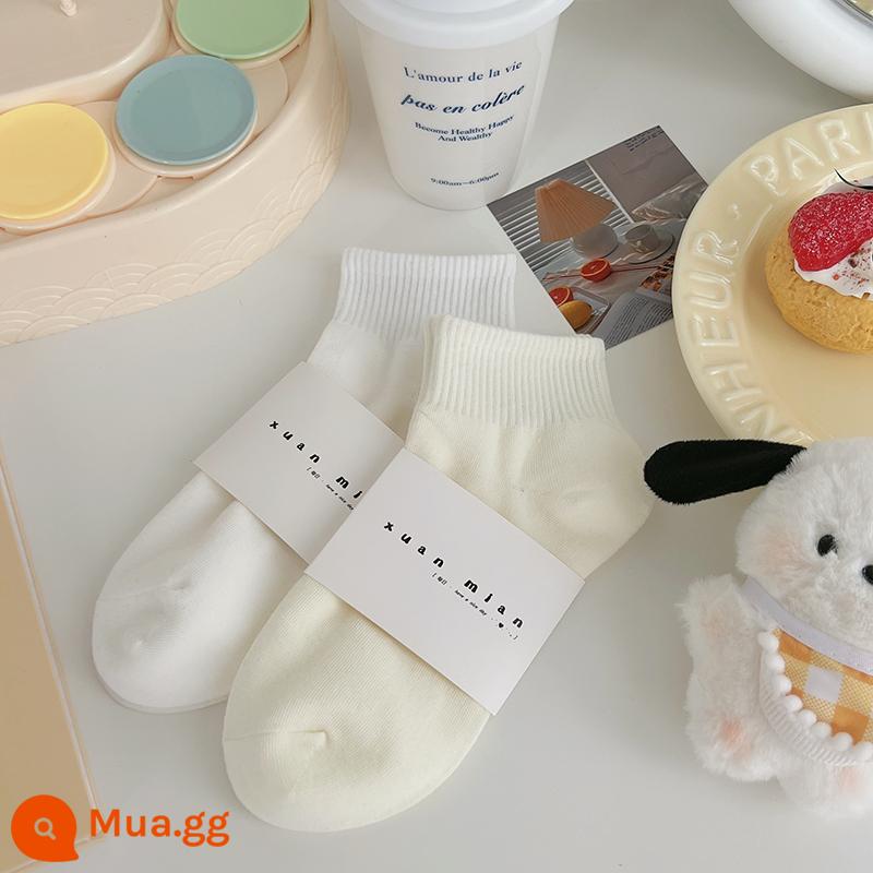 Vớ ống ngắn màu trơn mùa hè dành cho nữ cotton nguyên chất phần mỏng Sinh viên Nhật Bản thể thao màu vớ ngắn thể thao mùa xuân và mùa thu vớ ống giữa - Kem trắng nhạt