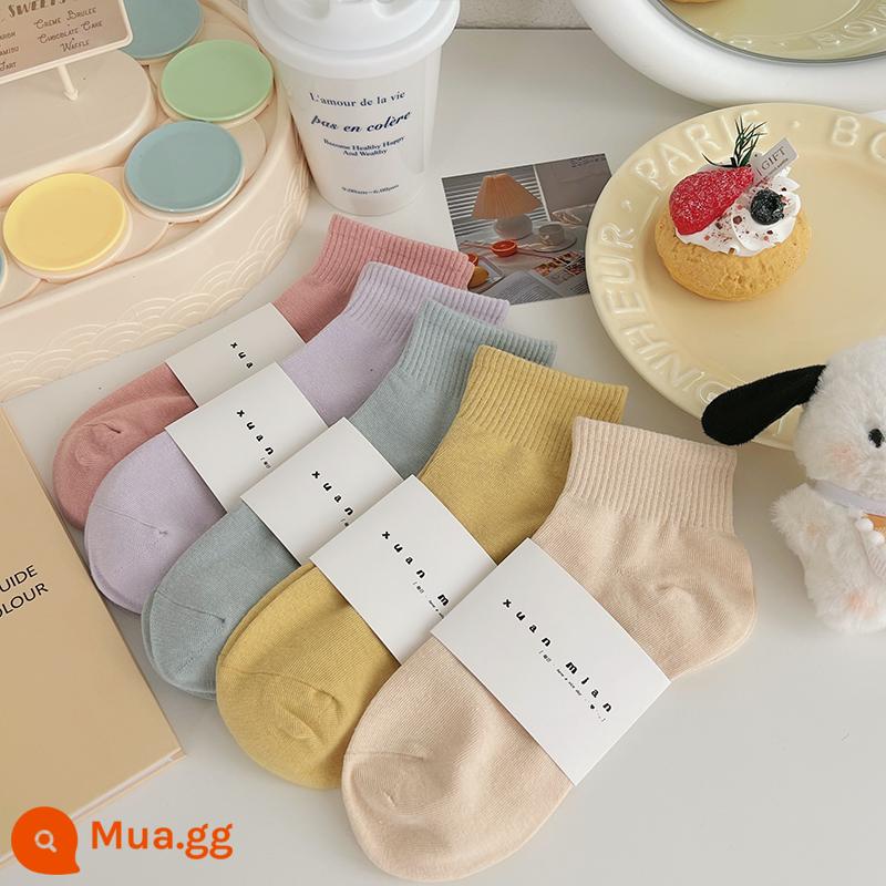 Vớ ống ngắn màu trơn mùa hè dành cho nữ cotton nguyên chất phần mỏng Sinh viên Nhật Bản thể thao màu vớ ngắn thể thao mùa xuân và mùa thu vớ ống giữa - Trà Sữa Hồng-Lavender-Xanh Xám-Vàng Nữ Tính