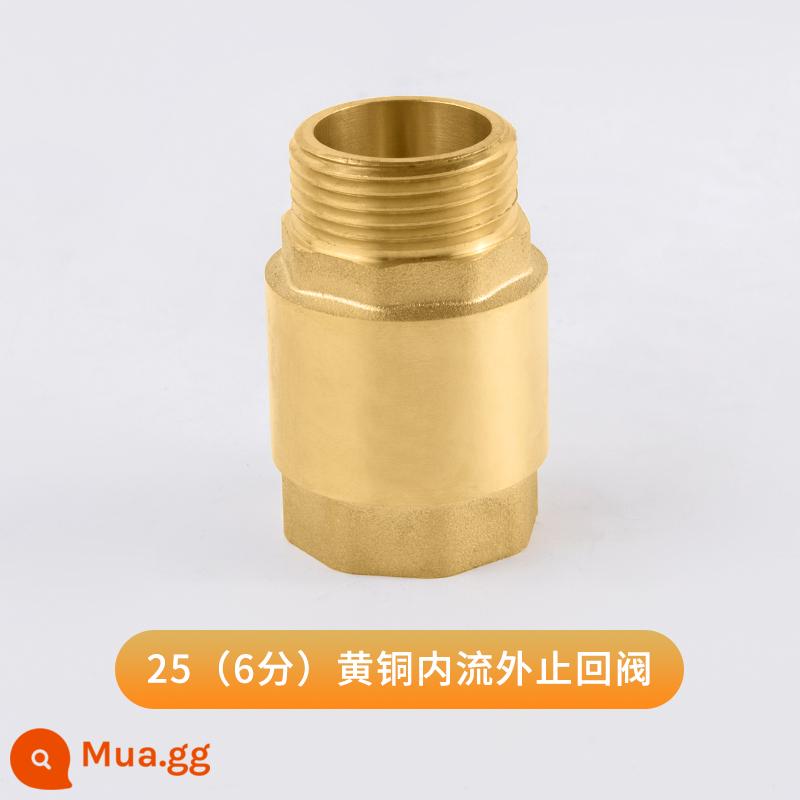 Van kiểm tra ngang bằng đồng Tianyi Taurus PPR kết nối trực tiếp kép 4 điểm 6 điểm Van một chiều van kiểm tra 1 inch - DN20 (6 điểm) dòng chảy bên trong và van một chiều bên ngoài 180g