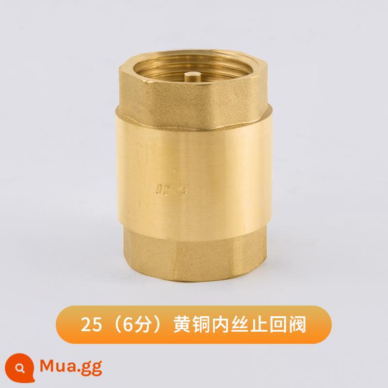 Van kiểm tra ngang bằng đồng Tianyi Taurus PPR kết nối trực tiếp kép 4 điểm 6 điểm Van một chiều van kiểm tra 1 inch - Van một chiều dây bên trong DN20 (6 điểm) 255g