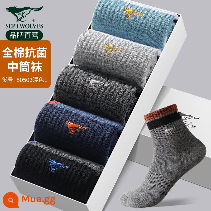 Vớ Septwolves nam ống giữa cotton nguyên chất khử mùi thấm mồ hôi thoáng khí thu đông kháng khuẩn vớ cotton vớ mỏng cho nam - Phần dày (ống giữa kháng khuẩn cotton nguyên chất) 80503 phối màu