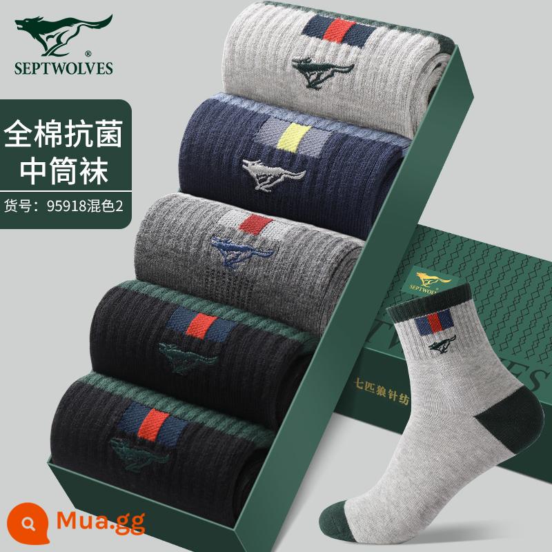 Vớ Septwolves nam ống giữa cotton nguyên chất khử mùi thấm mồ hôi thoáng khí thu đông kháng khuẩn vớ cotton vớ mỏng cho nam - Kiểu dày dặn (ống giữa kháng khuẩn cotton nguyên chất) 95918 mix 2 (5 đôi)