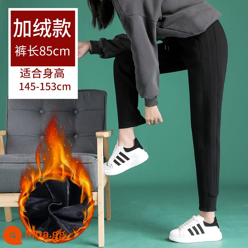 Nữ Lông Cừu Dày Dài Thấm Hút Mồ Hôi Cho Mùa Đông Lambswool Ấm Slim Slim Rời Rời Chân Áo Khoác Ngoài Màu Xám Dài Thấm Hút Mồ Hôi Cho Nam - Nhung - đen - dài quần 85cm (chiều cao khuyến nghị 145-153)