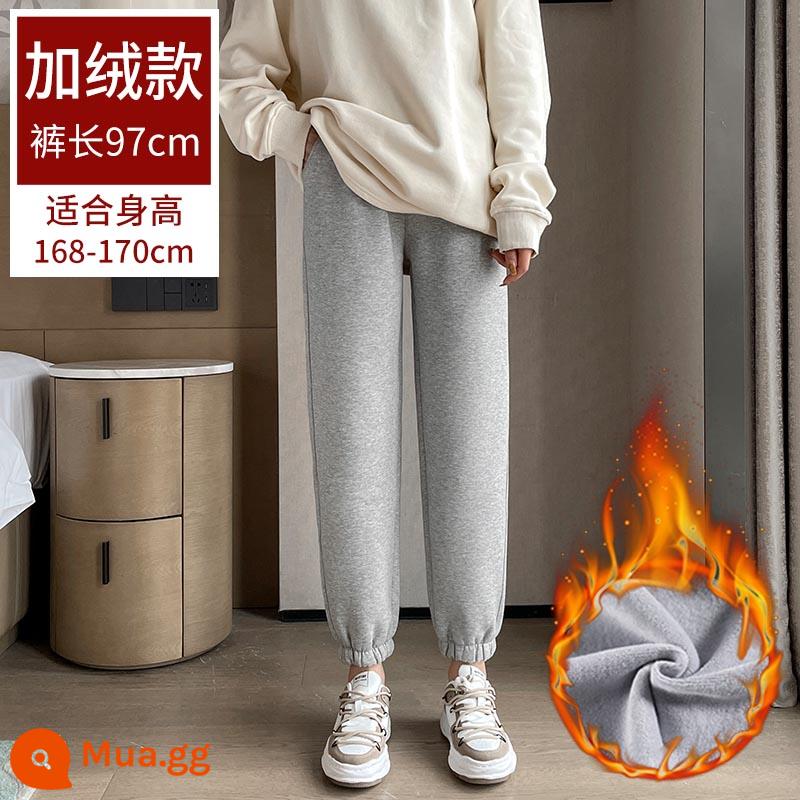 Quần thể thao màu xám Nữ Autumn and Winter cộng với nhung lỏng lẻo Loothed Kit sear - Nhung - xám - dài quần 97cm (chiều cao khuyến nghị 168-170)