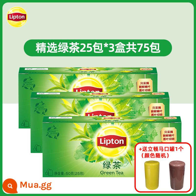 Trà đen Lipton thẻ vàng 25 gói lá trà xanh ủ trà lài Trà Lipton túi lọc trà thảo mộc trà túi lọc nước - 25 túi trà xanh chọn lọc*3 hộp + 1 lon lipton miễn phí (màu ngẫu nhiên)