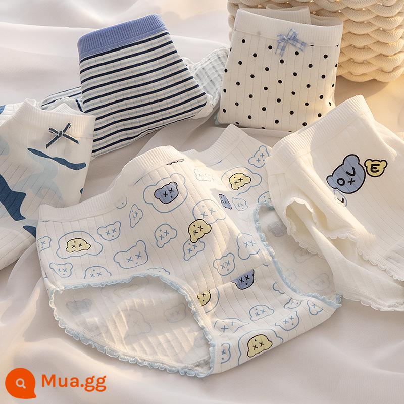 Đồ lót 100% cotton nguyên chất cho bé gái - 5 con gấu ngụy trang