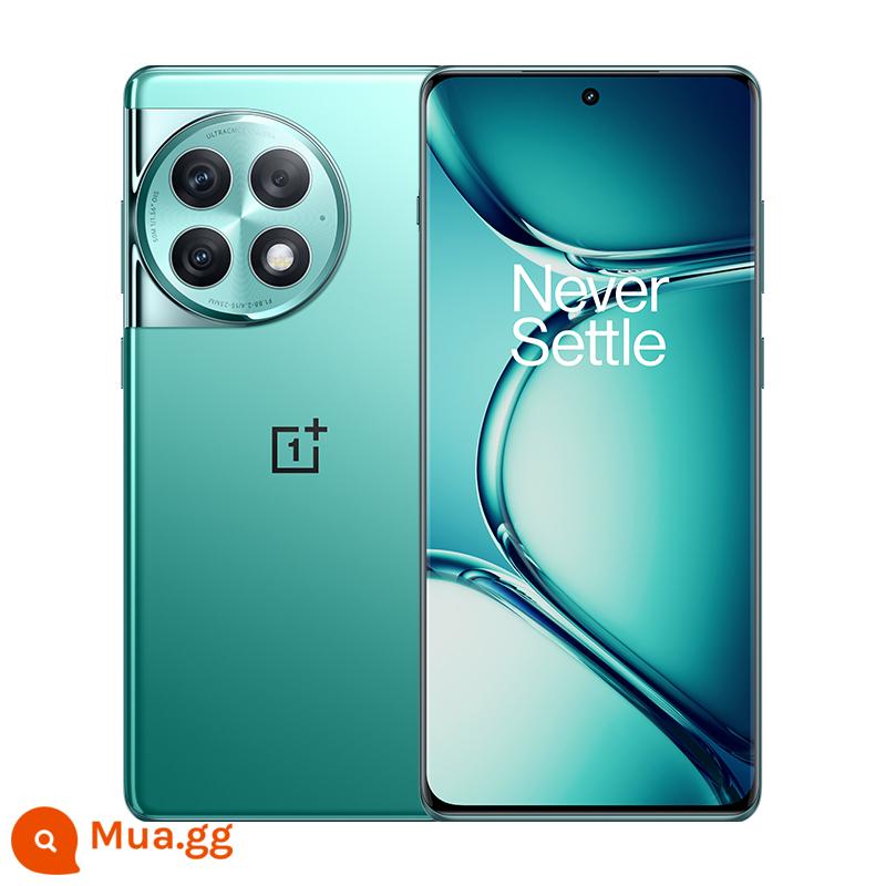 Điện thoại chơi game thông minh mới OnePlus/OnePlus Ace 2 Pro 16GB+512GB - màu xanh cực quang