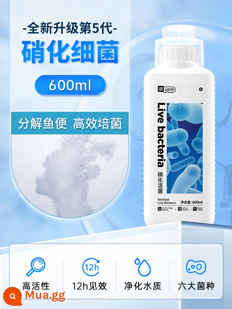 Vi khuẩn nitrat hóa bể cá với chất làm sạch nước nuôi cá chất lượng nước thanh lọc ổn định hồ cá thuốc khử trùng và tiêu hóa vi khuẩn sống cá - [Món thứ 2 0 tệ, chụp ảnh xong sẽ tặng 2 chai] Vi khuẩn nitrat hóa 600ml