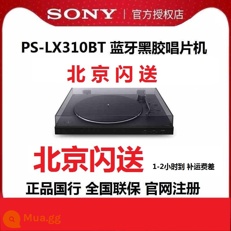 Sony/Sony PS-LX310BT Iron Triangle LP60XBT/LP3 Tự động phát Bluetooth Vinyl Recorder - Sony ps-LX310BT