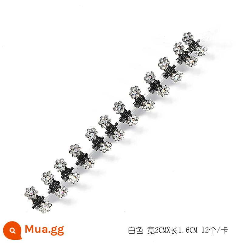 Mini trumpet lấy thẻ lấy thẻ trẻ em lấy kẹp nhỏ và tinh tế kẹp tóc gãy mũ đội đầu kim cương giả hoa mận kẹp tóc nhỏ nữ - Trắng 12 cái/thẻ