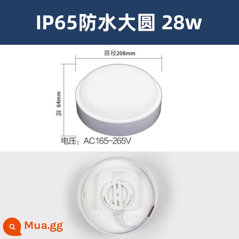 Đèn LED chống ẩm chống cháy nổ đèn chống thấm nước đèn trần nhà bếp đèn tường phòng tắm bột phòng ngoài trời ba đèn chống đèn trần - Vòng lớn chống thấm nước IP65 [LED28W]