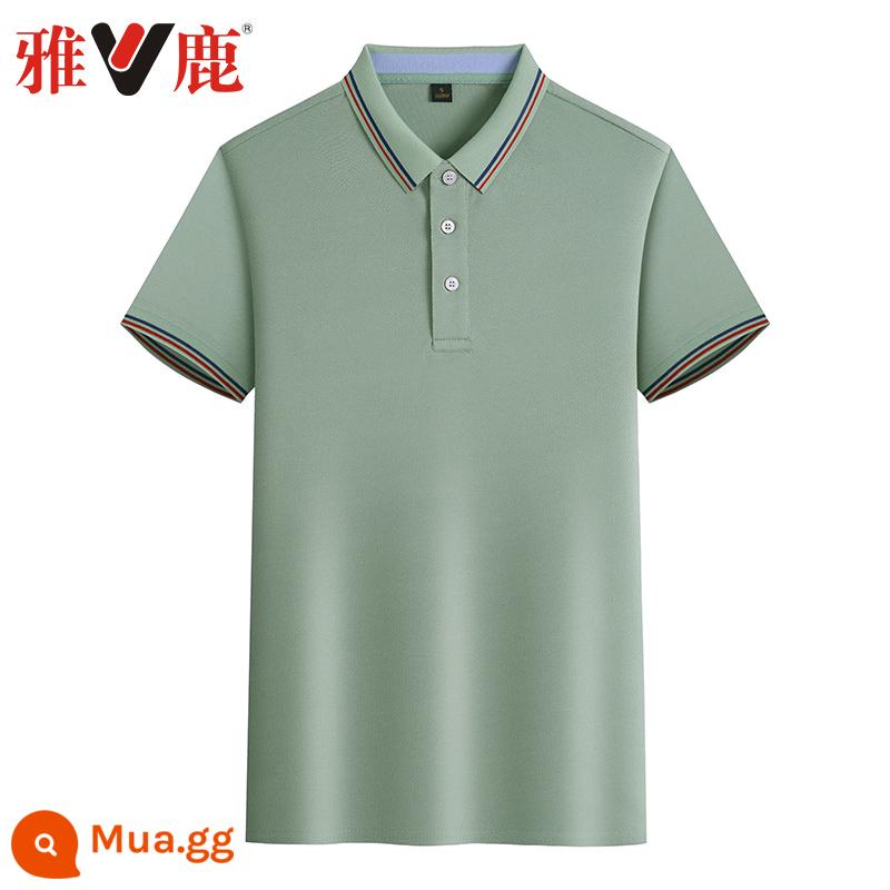 Áp Lục mùa hè áo thun ngắn tay xu hướng ve áo áo sơ mi POLO nam mỏng phần T-shirt quần áo - 22195 trái cây xanh