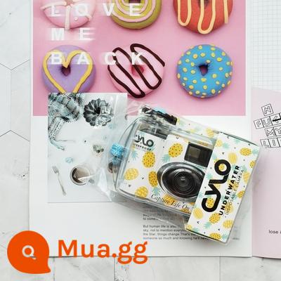 Miễn phí vận chuyển Fuji Kodak AGFA HOE VIBE Khoai Tây TUDOR Dùng Một Lần Máy Ảnh Phim Rửa Sạch - Máy lặn CYLO400 mẫu dứa 24 chiếc của Mỹ, giá trị đến 2022.03