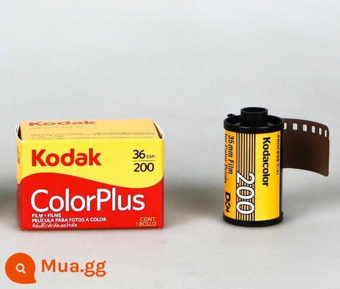 Fuji Kodak Foma 135/120 đặc điểm kỹ thuật phim đen trắng màu thực hành cuộn tay seagull và các loại phim đặc biệt khác - 135 Kodak Color 200/36 tờ, hạn sử dụng đến năm 2024