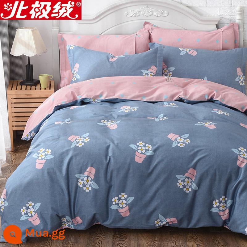 Nhung Bắc Cực Giường Bốn Bộ Cotton Nguyên Chất 100 Tờ Vỏ Chăn 3 Trang Bị Tấm Đơn Giản Chăn Ga Gối Mùa Đông 4 - Gina