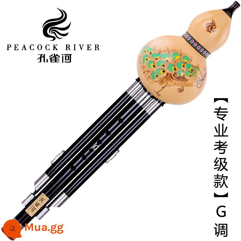 Peacock River gỗ gụ gỗ mun bầu lụa người lớn học sinh mới bắt đầu c-b điều chỉnh kiểm tra chứng chỉ chuyên nghiệp loại hiệu suất GF D điều chỉnh - [Mô hình thi chứng chỉ chuyên nghiệp] Đám mây tốt lành đầy màu sắc G Tone + Gói quà tặng