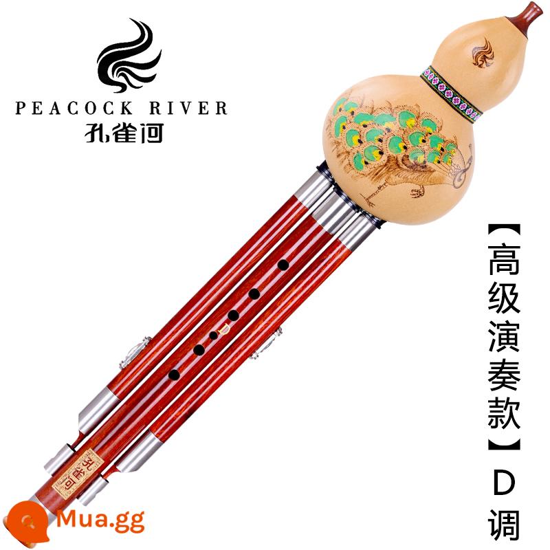 Peacock River gỗ gụ gỗ mun bầu lụa người lớn học sinh mới bắt đầu c-b điều chỉnh kiểm tra chứng chỉ chuyên nghiệp loại hiệu suất GF D điều chỉnh - [Mẫu hiệu suất nâng cao] Gói quà tặng Jade Shadow Lingkong Minor D +