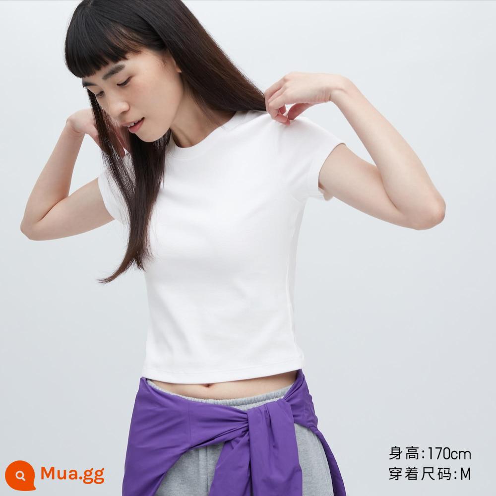 Áo thun nữ ngắn tay cổ tròn Uniqlo Hot Girl T (Cân cao, tay ngắn ôm sát) 455762 - 455762/00 màu trắng