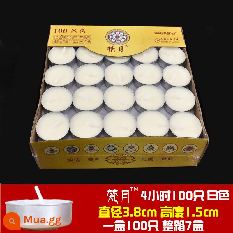 Buồn Trí Tuệ Chúc Đèn Ghee 3 Giờ 4 Giờ 8 Giờ 100 Ghee Cho Đèn Phật Đèn Nến Không Khói Đèn Dầu Su - 4 giờ trắng 100 miếng 7 hộp