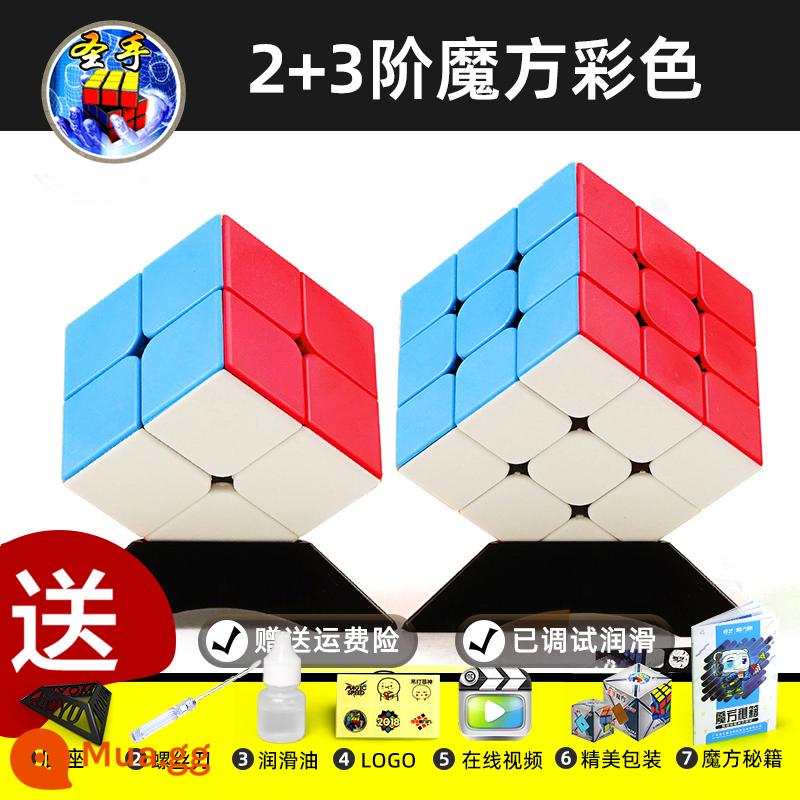 Thánh Tay Khối Lập Phương Rubik Hai Ba Bốn Năm 2453 Cấp Độ Đồ Chơi Giáo Dục Cho Trẻ Em Từ Người Mới Bắt Đầu Đa Dạng Vô Hạn Thi Đấu - Màu cấp 2 + màu cấp 3