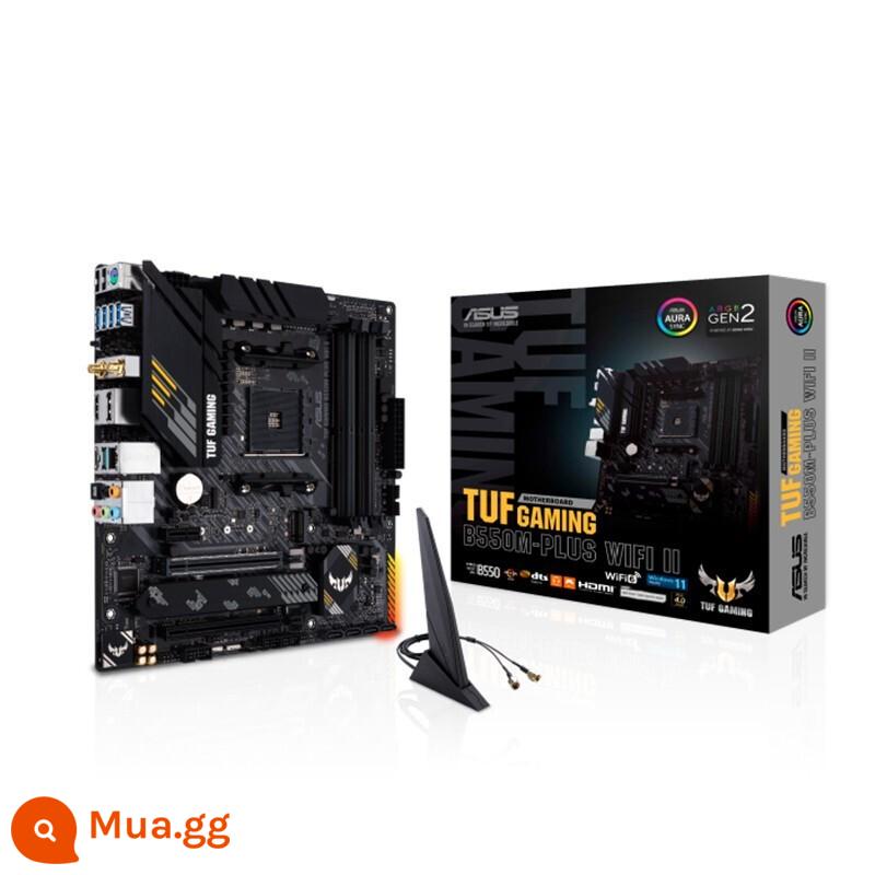 AMD Ryzen mới R3 4100 R5 4500 4600G 5500 5600 R7 5700X 5800X rải rác - Xạ thủ hạng nặng ASUS TUF GAMING B550M-PLUS WIFI II