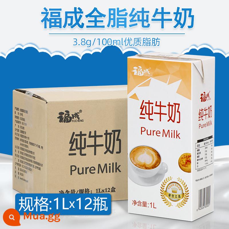 3,2%đầy đủ -fat Sữa nguyên chất 1L*12 Hộp cà phê trà sữa và bữa sáng - Sữa tươi nguyên chất Fucheng 1L*12 chai