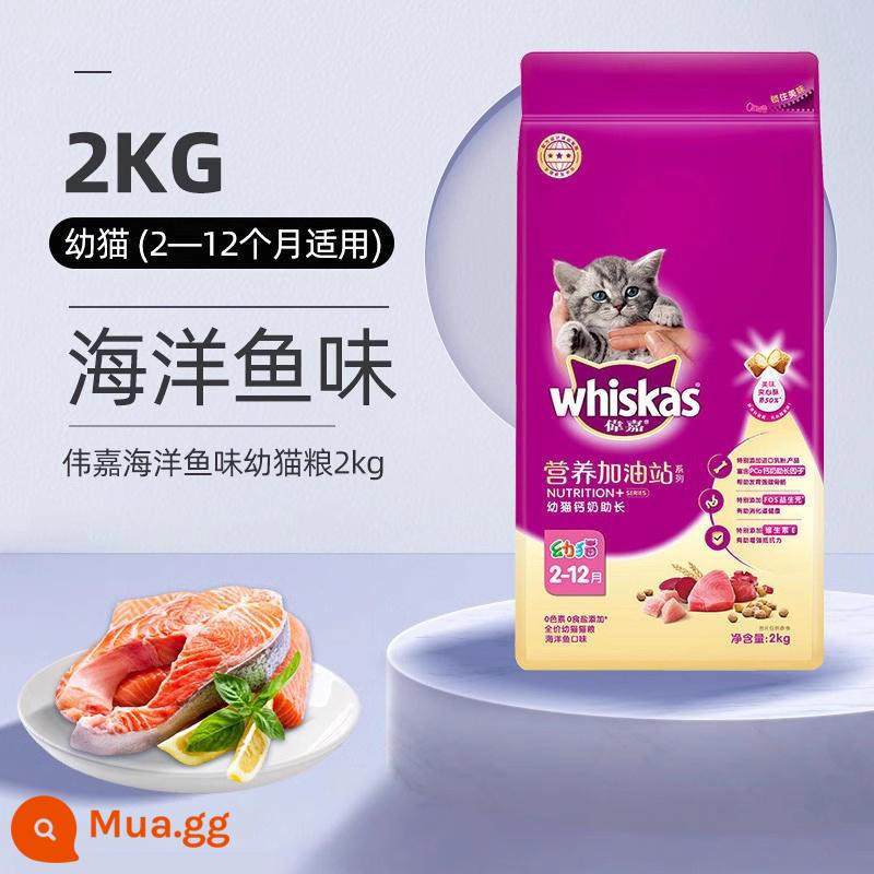 Thức ăn cho mèo Weijia 3.6kg mèo non mèo trưởng thành mèo vỗ béo Mèo Anh lông ngắn 10kg 2kg Thức ăn cho mèo trưởng thành Weijia - [Kitten] Vị Cá Biển 2kg (Ưu tiên thu mua)