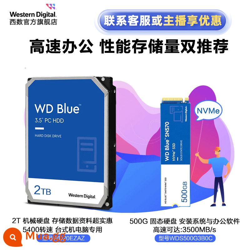 Ổ cứng thể rắn WD Western data SN570 500g 1t 2t máy tính xách tay SSD máy tính để bàn m.2 - Đĩa kép kết hợp đa lưu trữ SN570 500G+đĩa xanh 3,5 inch 2T