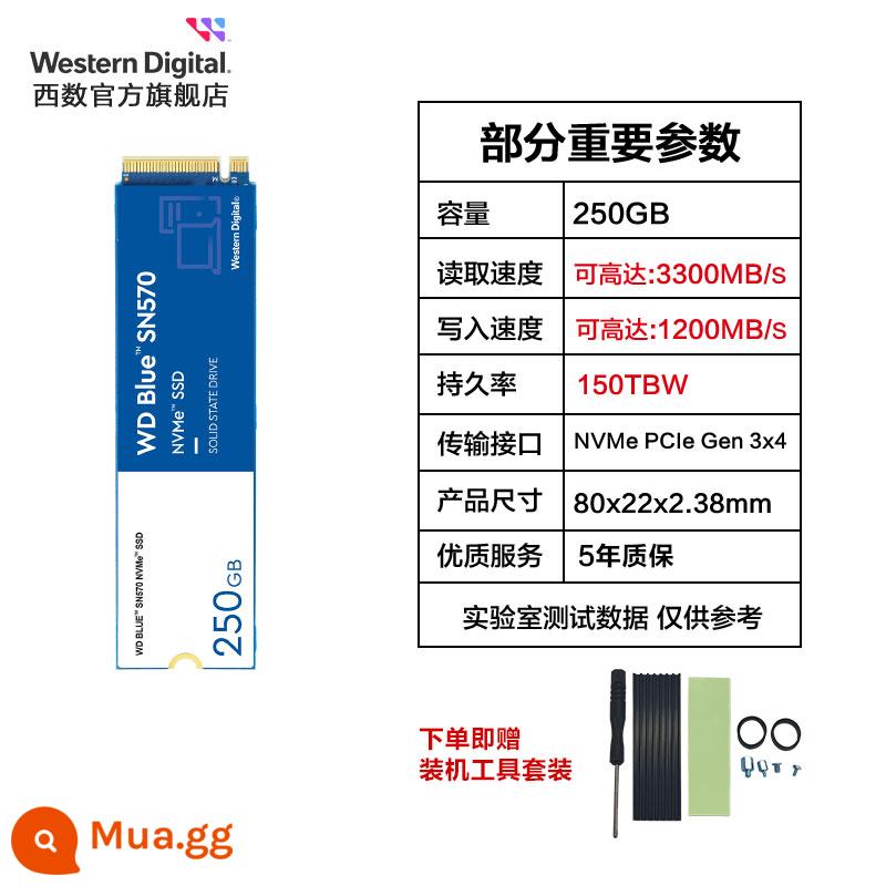 Ổ cứng thể rắn WD Western data SN570 500g 1t 2t máy tính xách tay SSD máy tính để bàn m.2 - SN570 250G | Dụng cụ giao hàng tiêu chuẩn