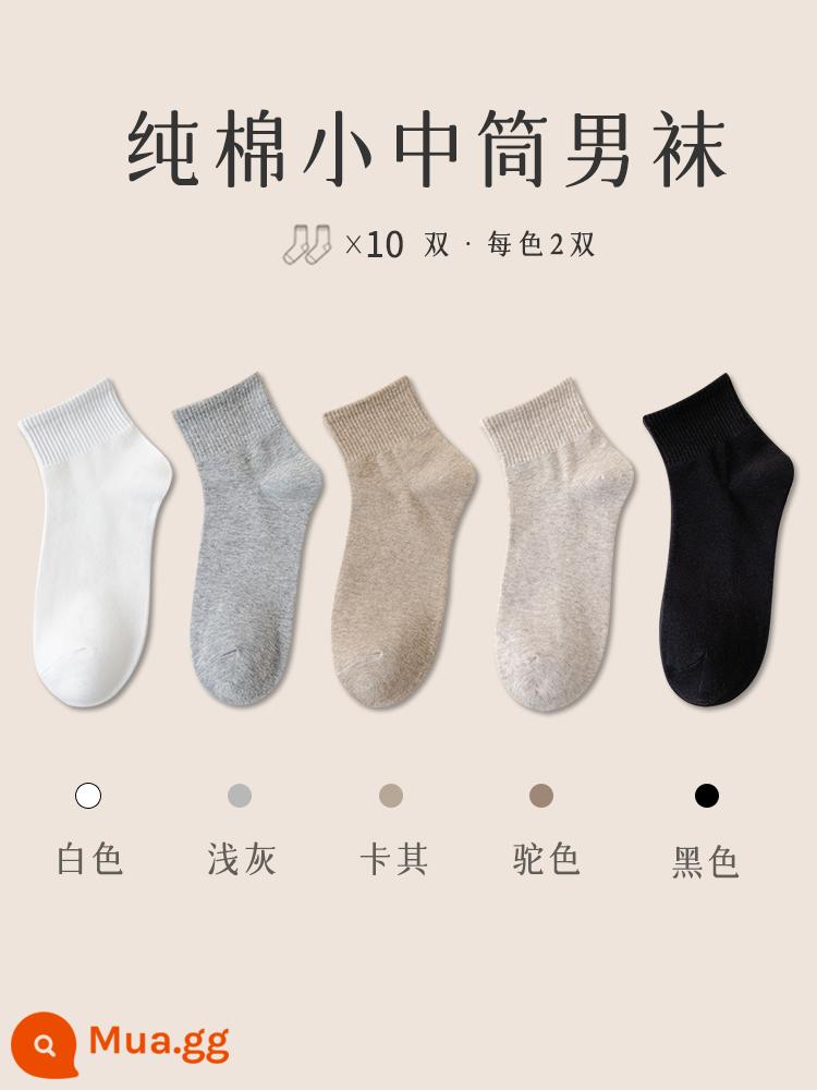 Vớ nam Zhuji trong vớ cotton mùa đông, chất khử mùi, mồ hôi, mồ hôi, vớ đen mùa đông ngắn - [10 đôi] Kết hợp [1] trắng 2 xám nhạt 2 kaki 2 thẻ sáng 2 đen 2