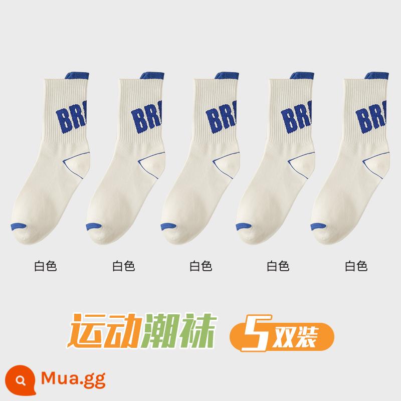 Zhuji Sock Men Mid -winter Mid -work Cotton Pregittered Switters và Sweat Sports Sports Autumn Basketball - 5 đôi [kết hợp K]