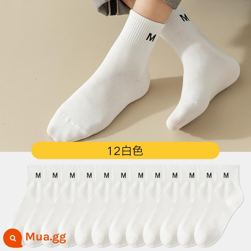 Vớ Nam Cực nam mùa thu và mùa đông Cotton Bông giữa, dạ dày, mồ hôi, mồ hôi, vớ dài, vớ đen và trắng tất cả tất cotton - [12 đôi - bông khử mùi nguyên chất] 12 đôi trắng