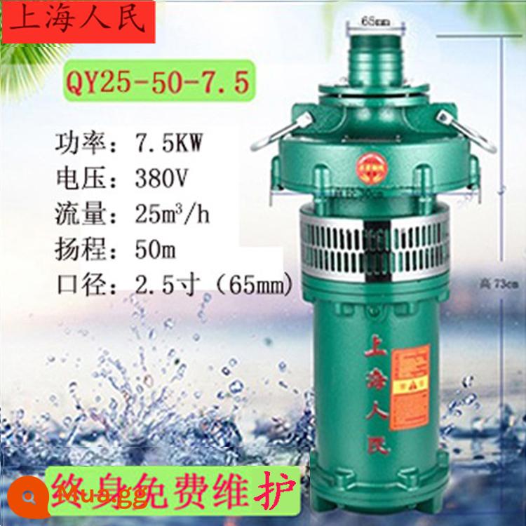 Máy bơm chìm dầu QY của Nhân dân Thượng Hải Máy bơm chìm ba pha 380v nâng cao tưới tiêu đất nông nghiệp dòng chảy lớn máy bơm giếng sâu công nghiệp - Tiêu chuẩn quốc gia 7,5kw 25 tấn 50 mét 2,5 inch