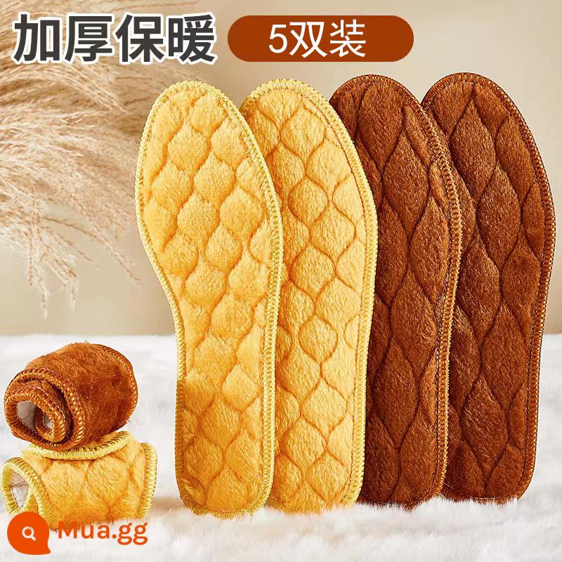 Winter plus nhung dày đế ấm cotton thoáng khí thấm mồ hôi nam nữ thoải mái khử mùi sang trọng đế mềm đế giả len - 5 đôi [kiểu cổ điển丨dày và nhung] nhung vàng