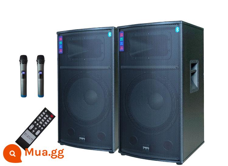 Halledi Đôi 15 Inch Loa Hoạt Động Cao Cấp Hiệu Suất Ngoài Trời Vuông Sân Khấu Shop Cưới Bộ Âm Thanh - Đơn 15 đôi