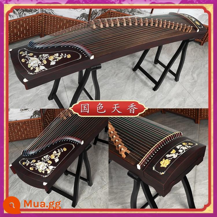 Song Li Guzheng Người mới bắt đầu Chứng nhận Thi Đầu vào Cấp 10 Biểu diễn Chuyên nghiệp Trẻ em Người lớn Giảng dạy Nhạc cụ Guzheng Paulownia - Hiệu năng Tím/Quốc sắc và Hương thơm thiên đường (Bộ quà tặng trọn bộ phụ kiện)