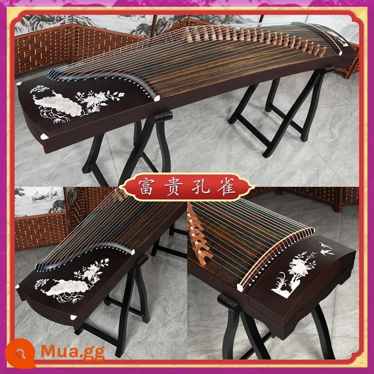 Song Li Guzheng Người mới bắt đầu Chứng nhận Thi Đầu vào Cấp 10 Biểu diễn Chuyên nghiệp Trẻ em Người lớn Giảng dạy Nhạc cụ Guzheng Paulownia - Công năng Tím/Chim công (trọn bộ quà tặng phụ kiện)