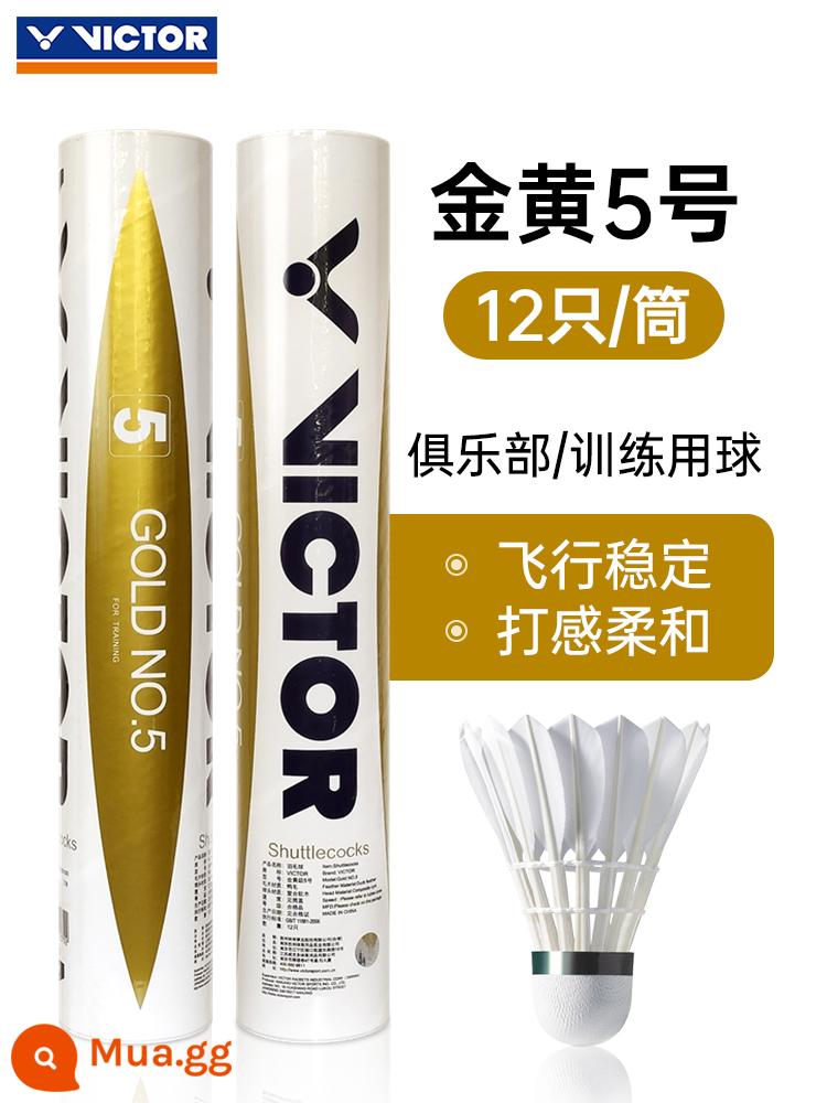 Chiến thắng VICTOR Cầu lông GD Chuyên nghiệp Quả bóng vàng Số 3 Số 5 Master 6 Quả bóng vàng Victor Ván 8 - Vàng số 5 [Lông vịt được lựa chọn đặc biệt, bền và ổn định, được câu lạc bộ yêu thích]